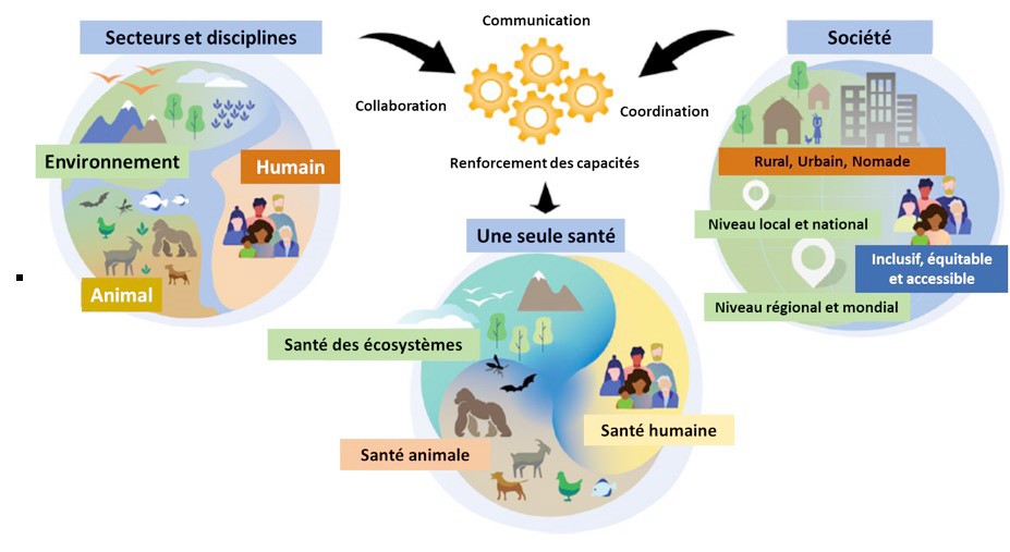 santé éducation